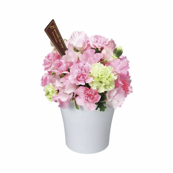 3000円 5000円まで の花 東京都武蔵村山市の花屋 成華園にフラワーギフトはお任せください 当店は 安心と信頼の花キューピット加盟店です 花キューピットタウン